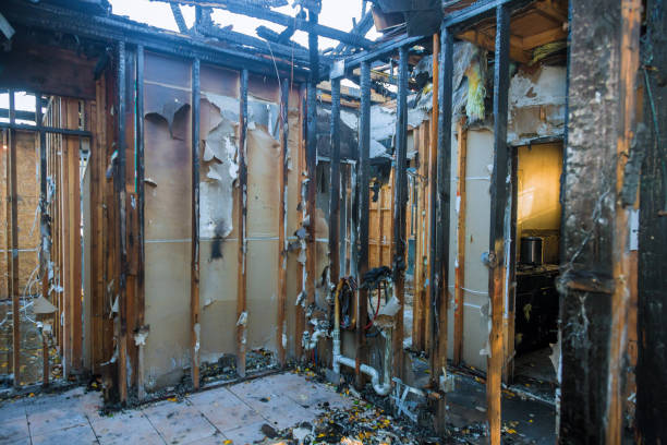 Professional Fire Damage Removal technician working in Oldsmar, FL