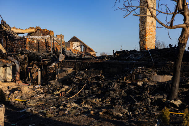 Reliable Fire Damage Removal contractor in Oldsmar, FL by Fire Damage Doption