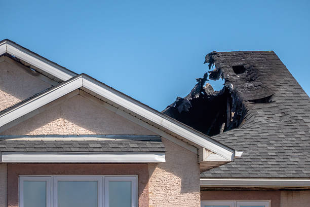 Top rated local Fire Damage Removal specialists in Oldsmar, FL